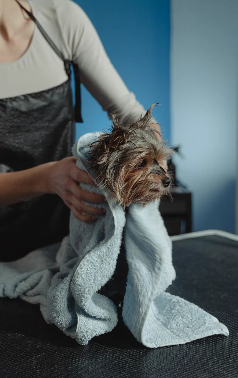 Pet Towels